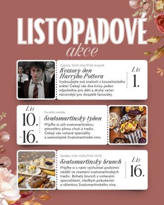 Přátelé, nejkrásnější a nejkreativnější období roku je tady. Miluju Halloween, miluju adventní období. Když jsem si od...