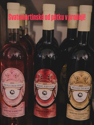 Svatomartinská vína jsou tady! Růžový Zweigeltrebe rosé – sladký flirt v lahvi. Velmi oblíbené u nás- žen. Modrý Portugal...